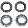 0215-0119 Moose Racing Bearing Rr Wheel