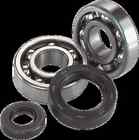 0924-0220 24-1098 Moose Racing Crank Bearing And Seal Kit