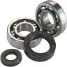 0924-0603 Moose Racing Crank Bearing And Seal Kit