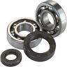 0924-0604 Moose Racing Crank Bearing And Seal Kit