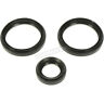 0935-1034 Moose Front Differential Seal Kit