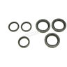 0935-1035 Moose Front Differential Seal Kit