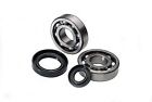 20-0319 Jps Crankshaft Bearing Kit For Honda
