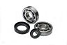 20-0353 Jps Crankshaft Bearing Kit For Suzuki 723980422418
