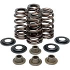 20-20660 Performance Valve Wire Spring Beehive Ovate Rebuild Precision Kits63 Kibblewhite