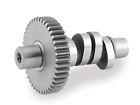 212020 Davidson Camshaft Andrews Harley