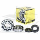 23.cbs42085 Prox Crankshaft Bearing Seal