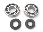 24-1002b Boss Bearing Main Crank Shaft Bearings And Seals 723980413928