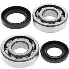 24-1005 All Balls Crankshaft Bearing