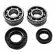 24-1067 Sledpartsguy Suzuki Jr 50 1978-2006 Crankshaft Bearings Crank Shaft Jr50