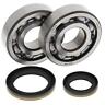 Yz85-yz65 24-1117 All Balls Crank Shaft Bearing Kit Yamaha