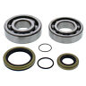 24-1118 All Balls Crank Bearing And Seal Kit For