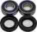 25-1690 All Balls Beta Rear Wheel Bearing Seal Kit For Evo 2t 290 2009-2010