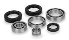 25-2071 Kit Bearing Differential Seal Quadboss