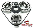 25-2095 All Balls 08-13 Teryx 750