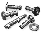 4234-1exgs Hot Cams Stage Exhaust Camshaft