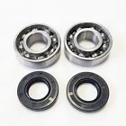 48-2012 Pro Moto Supply Main Crank Bearings And Seals Kit