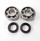 48-2090 Pro Moto Supply Kawasaki Crank Bearings And Seals Kit