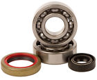 Hr1380 50 Sx Hot Rods Ktm Replacement Main Bearing Seal Kits For