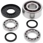 Rang1000 500 Ace Efi 17 900 Eps 16-17 Di All Balls New Differential Bearing And
