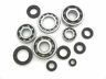 62-0060 Boss Bearing Engine Bottom End Bearings And Seals 812199030542