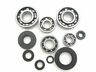 62-0063 Boss Bearing Bottom End Bearings And Seals Kit 812199030573