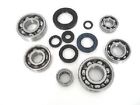 62-0081 Boss Bearing Engine Bottom End Bearings And Seals 812199030764
