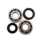 63-28c All Balls Crankshaft Bearing Kit