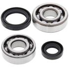 688965985077 Alpha Atv Crank Bearing