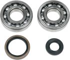 836147 Moose Racing Crankshaft Bearing And Seal Kit Fits Suzuki