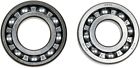 A24-1036 Moose Racing Crank Bearing