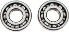 A24-1042 Moose Racing Crank Bearing