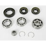 A25-2001 Moose Front Atv Differential Bearing