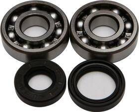 22-41008 All Balls Crankshaft Bearing And Seal Kit Ktm Husqvarna Gasgas New Oem