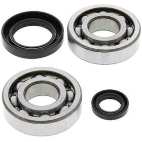 24-1004 All Balls Crankshaft Bearings Cr250r 84-91 Cr500r 84-01 Honda Freeship