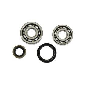24-1013 All Balls Crankshaft Bearing And Seal Kit #24-1013 For Suzuki Rm80 1986-1988