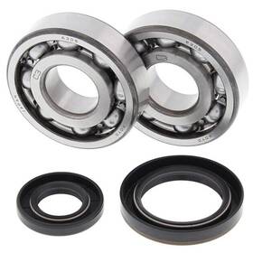 24-1019 All Balls Crank Shaft Bearing Kit For Suzuki Rm250 1989-1993 24-1019 All Balls Crank Shaft Bearing Kit For Suzuki Rm250 1989-1993