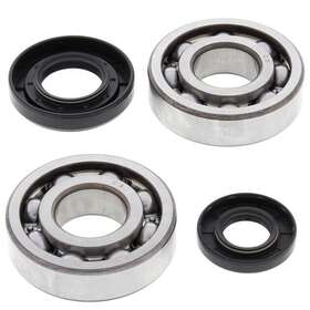 24-1029 All Balls Crank Shaft Bearing Kit Fits Yamaha Yz250 2-stroke/yz250x 2-stroke