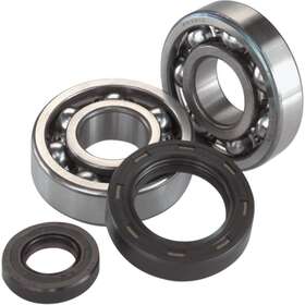 24-1063 All Balls Crank Bearing And Seal Kit