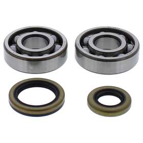 24-1119 All Balls Crank Bearing And Seal Kit For Gas-gas Ec125 13 14 15