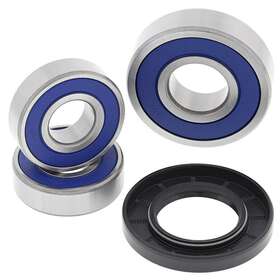 Ab25-1089 All Balls Racing Wheel Bearing Kit 25-1089 Suzuki Gsxr1100 88-92