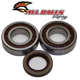 1zmj All Balls Mn/1zmj Crank Bearing And Seal Kit For 2008-2009 Ktm 525 Xc - Engine Nk