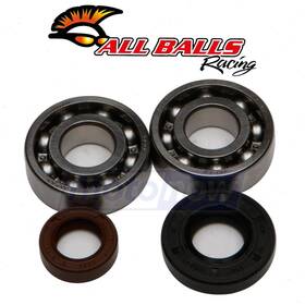 Wmb5 All Balls Mn/wmb5 Crank Bearing And Seal Kit For 2002-2003 Ktm 50 Jr Adventure - Df