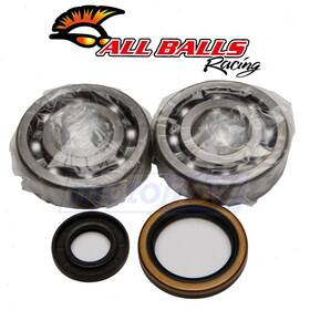 All Balls Mn/z600 Crank Bearing And Seal Kit For 1994-1995 Suzuki Rm250 - Engine Cn