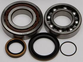 Nc1buzfhs4 All Balls Crankshaft Bearing Kit For Gas Ex300 21 Nc1buzfhs4 All Balls Crankshaft Bearing Kit For Gas Ex300 21