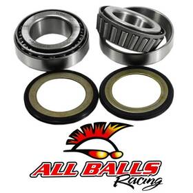 22-1012 Arrowhead Engineering All Balls Steering Bearing And Seal Kit