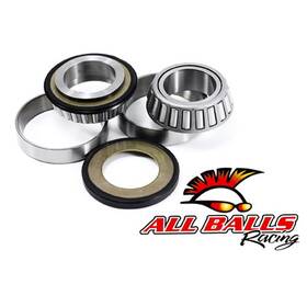 22-1055 Arrowhead Engineering All Balls Steering Bearing And Seal Kit