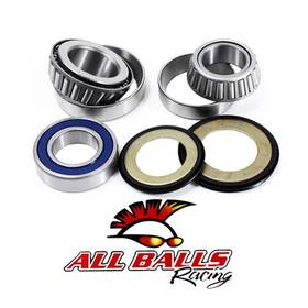 22-1060 Arrowhead Engineering All Balls Steering Bearing And Seal Kit