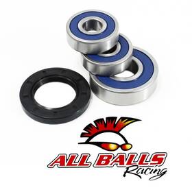 25-1349 Arrowhead Engineering All Balls Wheel Bearing And Seal Kit