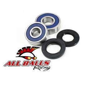 25-1356 Arrowhead Engineering All Balls Wheel Bearing And Seal Kit